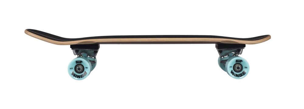 large Indiana Skate Board Cruiser Nussbaum 4