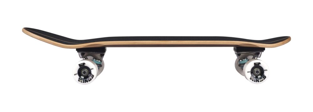 large Indiana Skate Board Pumptrack Nussbaum 1